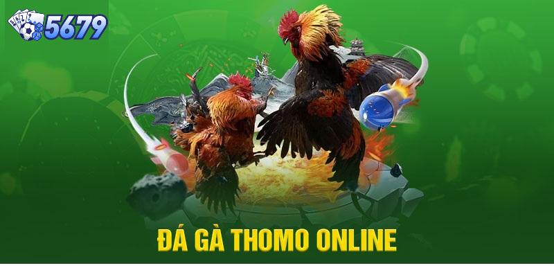 Có quy định rõ ràng về cách chơi và xác định thắng thua trong đá gà thomo