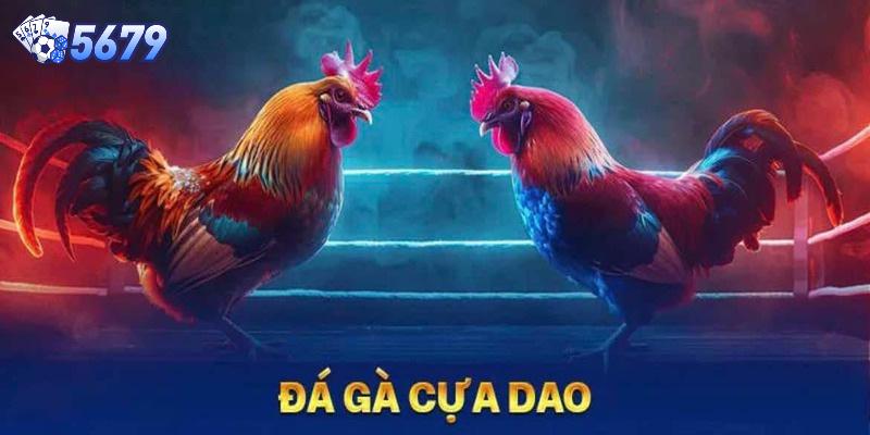 đá gà cựa dao