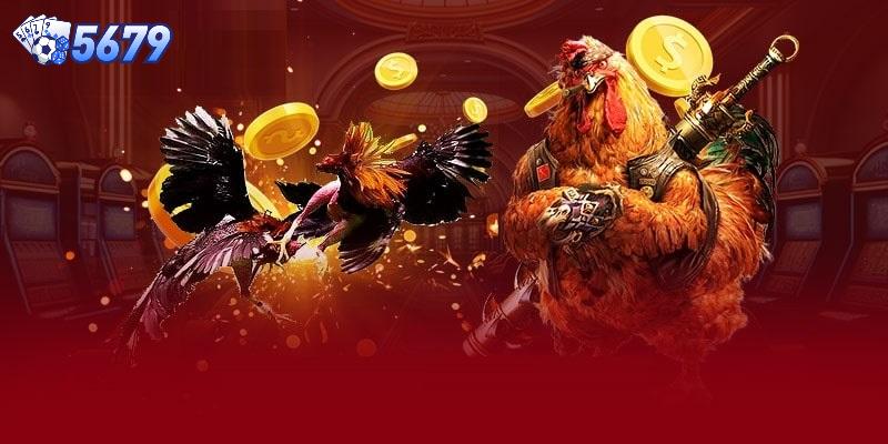 Đăng ký tài khoản chính thức hợp lệ để tham gia đá gà online tại 5679