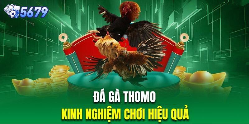 Nhiều điều cần chú ý để chơi cá cược đá gà online thật hiệu quả