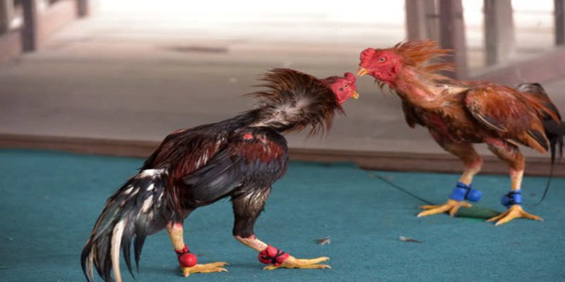 Nhiều điều nên biết thêm