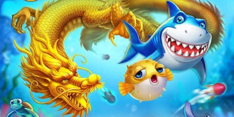 Ứng dụng những công cụ hack thật hợp lý để săn cá to