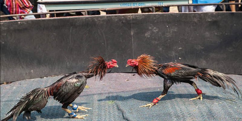 Sự kiện cần chuẩn chỉ