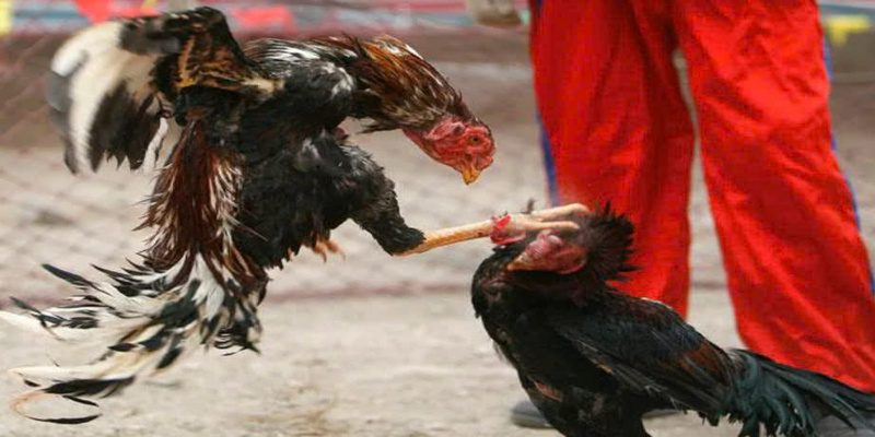 Áp dụng hết công nghệ