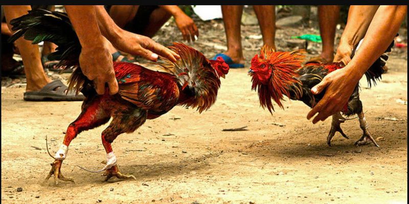 Rèn luyện hết kỹ năng