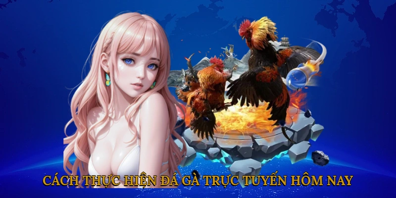 Cách thực hiện đá gà trực tuyến hôm nay