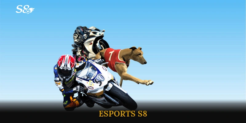 E-sports S8