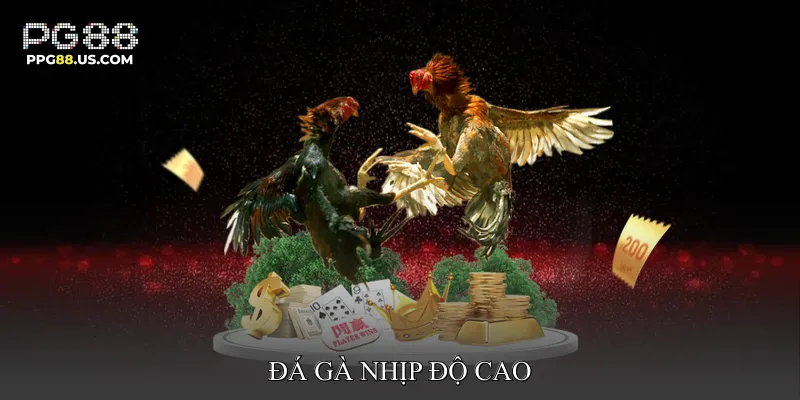 Đá gà nhịp độ cao