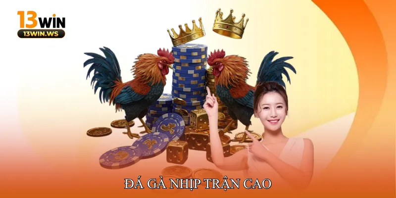 Đá Gà Nhịp Trận Cao