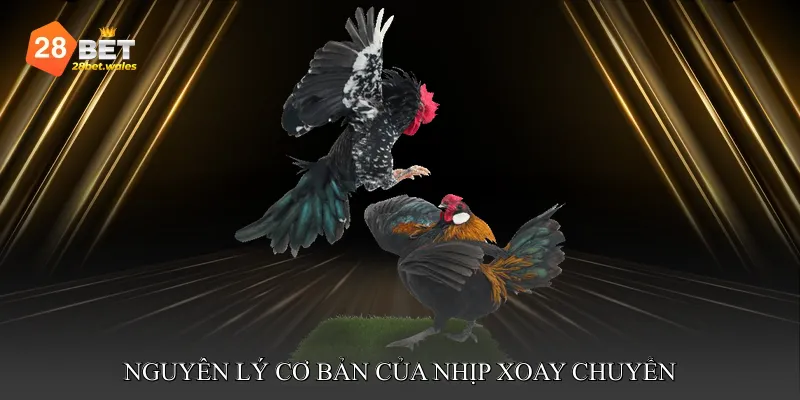 Nguyên lý cơ bản của nhịp xoay chuyển