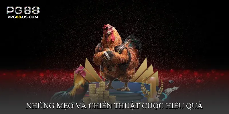 Những mẹo và chiến thuật cược hiệu quả